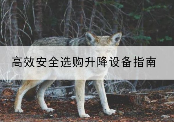 莒南升降货梯厂家推荐-*安全选购升降设备指南