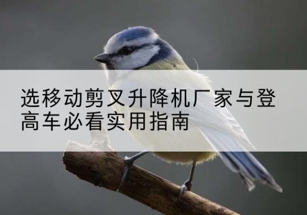 莒南电动升降机厂家-选移动剪叉升降机厂家与登高车必看实用指南
