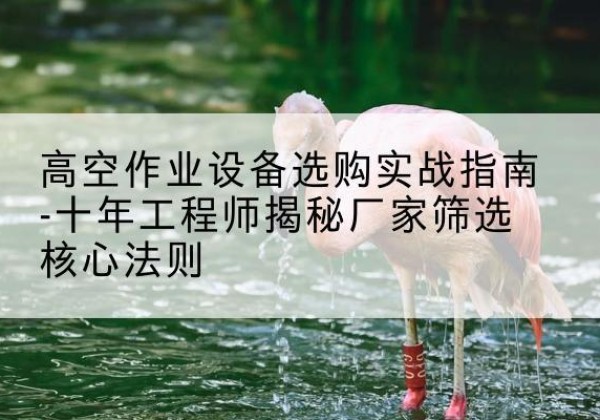 莒南剪叉式升降机厂家-高空作业设备选购实战指南-十年工程师揭秘厂家筛选核心法则